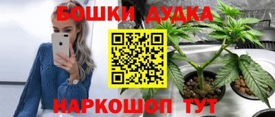 сатива Балахна