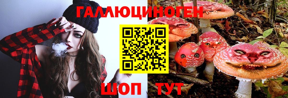 Галлюциногенные грибы ЛСД Гай